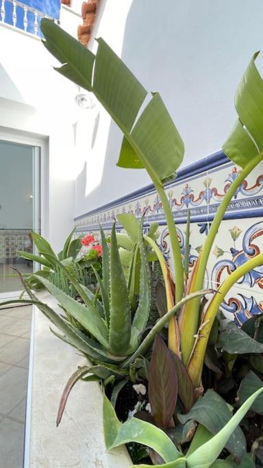 Apartament Casa Azahar Luxury Two Bedroom Floor